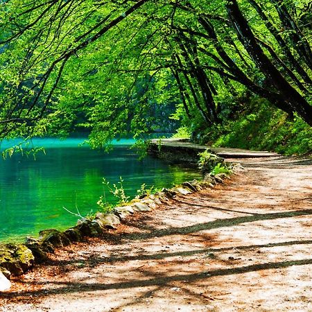 Plitvicka Kuca D - Plitvice Lakes Plitvička Jezera Exterior foto